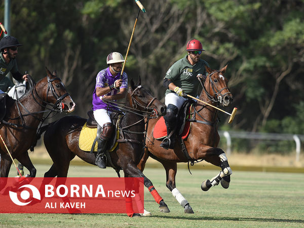 لیگ  ملی چوگان