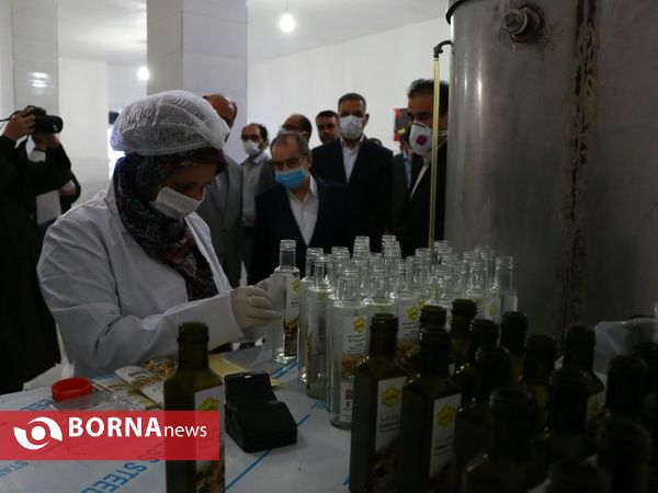 جهش تولید در سرزمین فتح - ۲