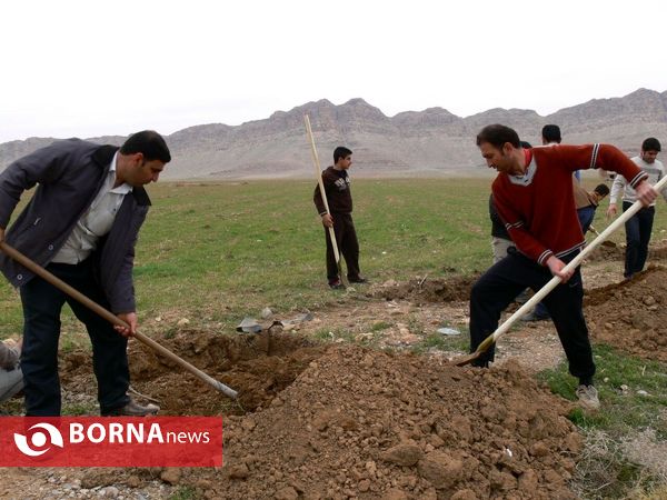 آغازفعالیتهای درختکاری در رومشکان درآستانه هفته منابع طبیعی