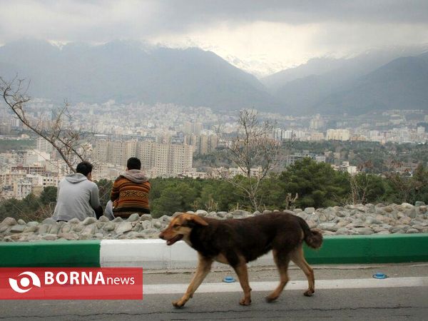 13 فروردین روز طبیعت- پارک جنگلی شیان