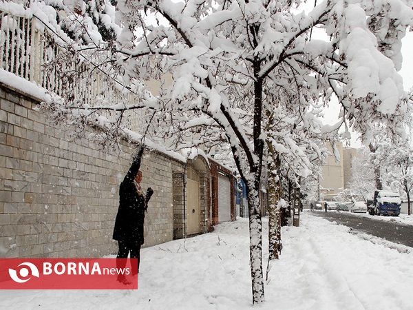 بارش برف در تهران