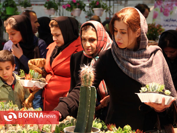 نمایشگاه گل و گیاه-شیراز