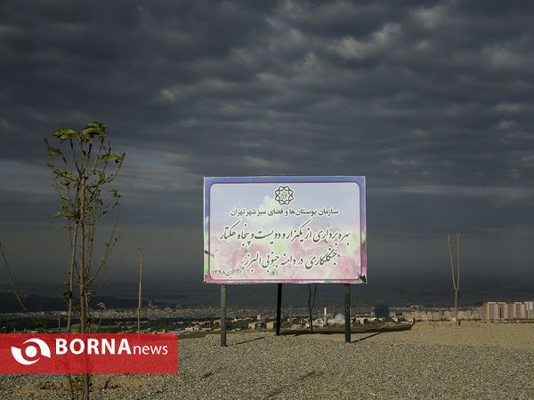 بازدید اعضای شورای شهر تهران از پروژه جنگلکاری 1250 هکتاری