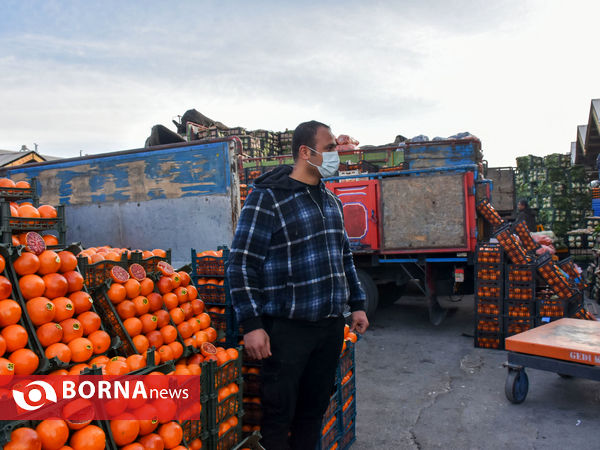 میدان میوه و تره بار در روزهای پایانی سال