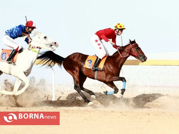 هفته سوم کورس اسبدوانی اسب اصیل عرب "جام بُراق اروند"