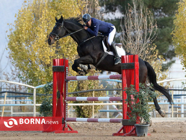 مسابقات پرش با اسب قهرمانی استان فارس