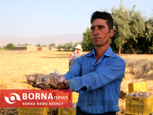 تیمورلو، پایتخت سیر ایران