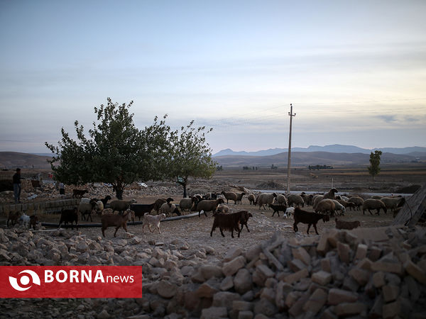 تخریب روستاهای دشت ذهاب براثر زلزله