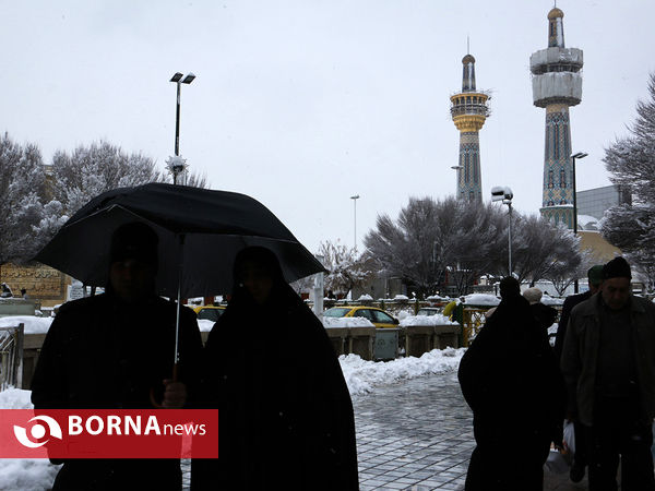 مشهد زیر چتر برف