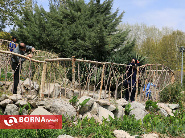 باغ گلها در فصل بهار اصفهان