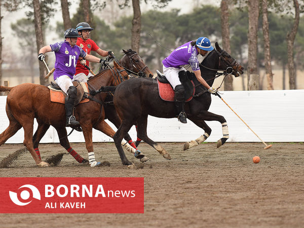 مسابقات چوگان جام قهرمانی باشگاه‌های کشور