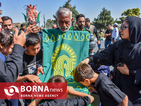 ارادت به امام رضا(ع)