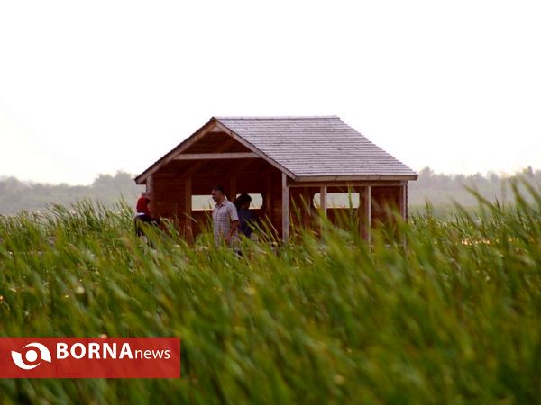 تالاب بین المللی امیر کلایه _ لاهیجان