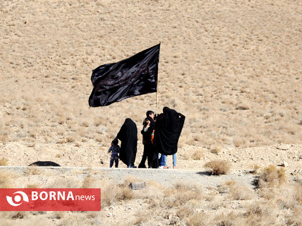 بزرگترین گردهمایی عزاداران رضوی فارس در شهرستان بوانات