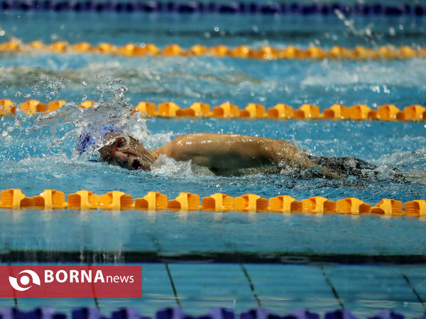 مسابقات شنا جام وحدت