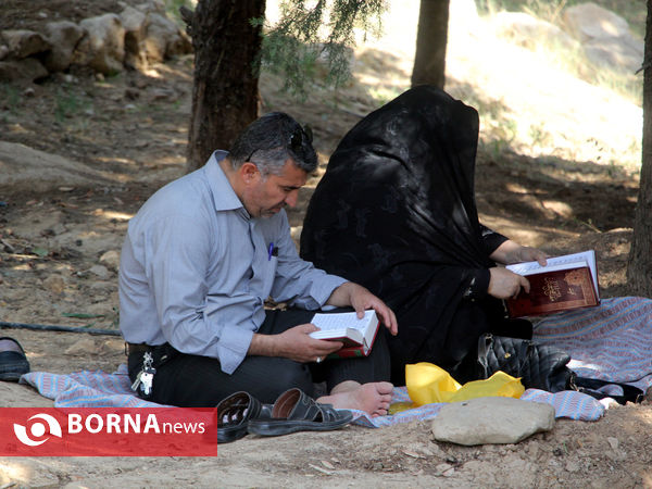 دعای عرفه در تپه الشهدای شیراز