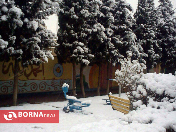 بارش نخستین برف پاییزی در تهران