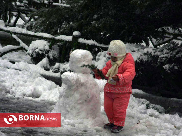 بارش نخستین برف پاییزی در تهران