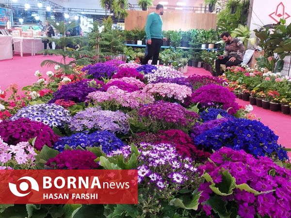 نمایشگاه فروش بهاره