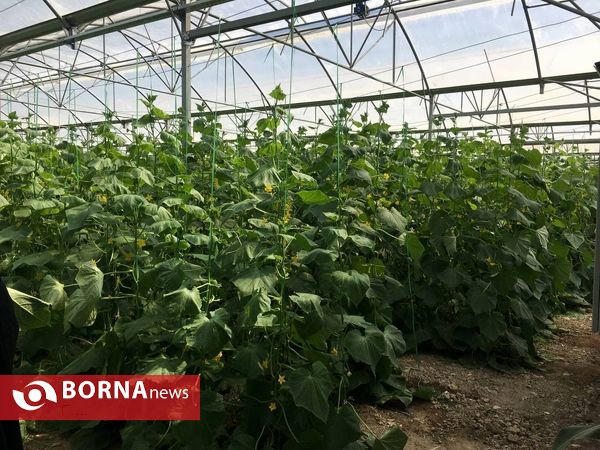 افتتاح پروژه های عمرانی ، آموزشی و فضای سبز _ شهرستان ری