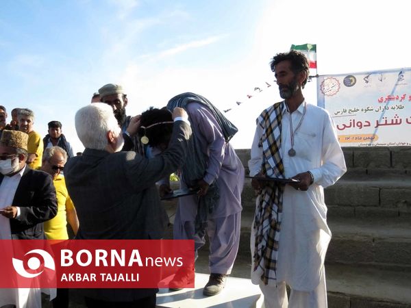 مسابقات شتر دوانی در چابهار 