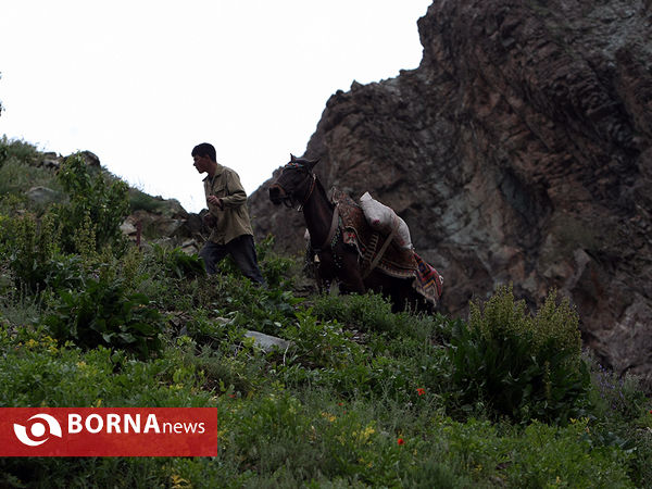 گردشگری در هفته جوان