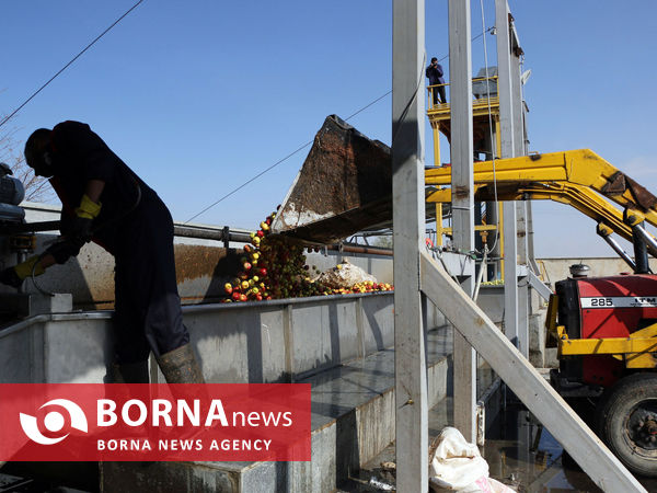 توانمندی های بخش کشاورزی شهرستان شبستر