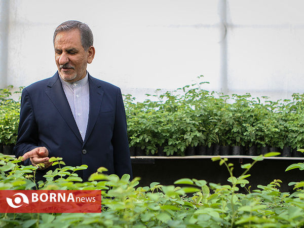 بازدید معاون اول رئیس جمهوری از چند پروژه کشاورزی و صنعتی در شهرستان رباط کریم