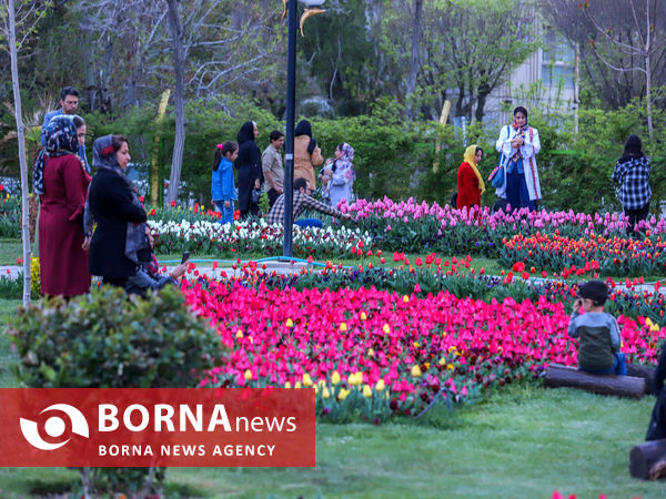 جشنواره گل‌های لاله در اراک