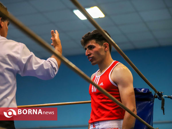 مسابقات بوکس قهرمانی بزرگسالان استان مرکزی