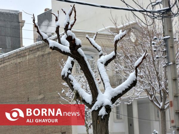 اولین برف زمستانی در ارومیه