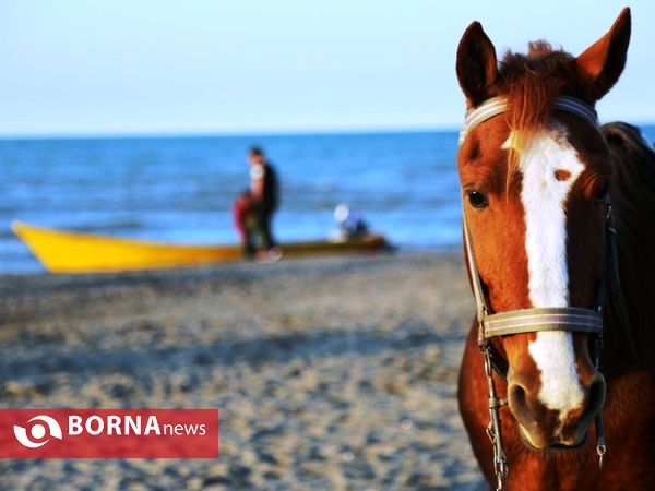 سواحل دریای خزر-نمک آبرود