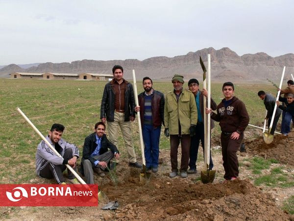 آغازفعالیتهای درختکاری در رومشکان درآستانه هفته منابع طبیعی