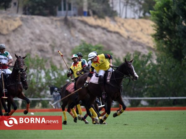 ،مسابقات چوگان جام هفته دفاع