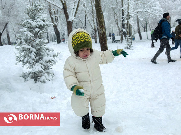 بارش برف در تهران-۴
