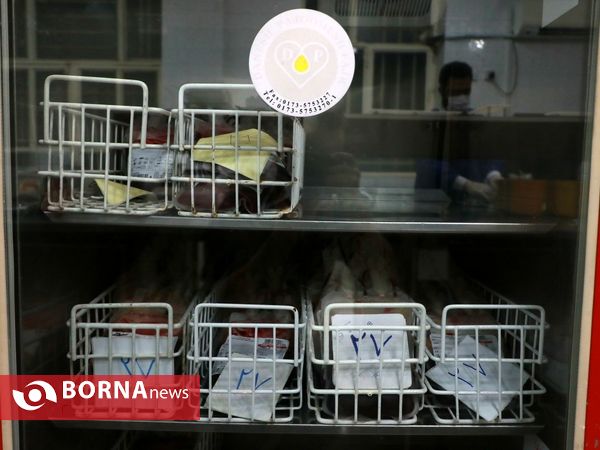 نذر خون شب دهم محرم