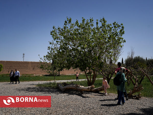 باغ دولت‌آباد یزد