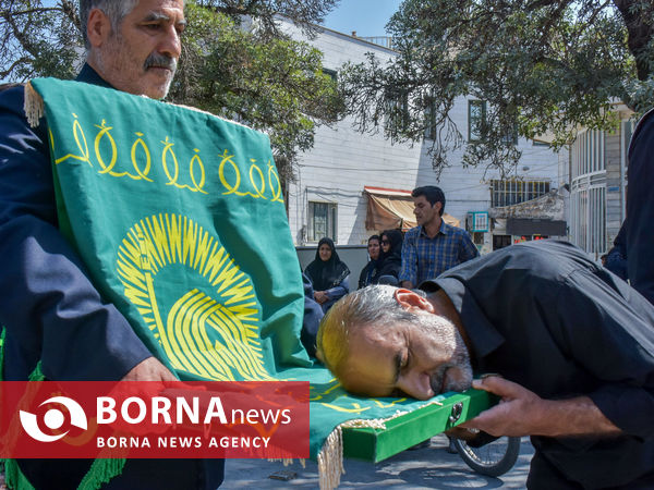 ارادت به امام رضا(ع)