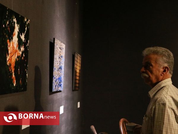 نمایشگاه انفرادی عکس های طلا فرجی