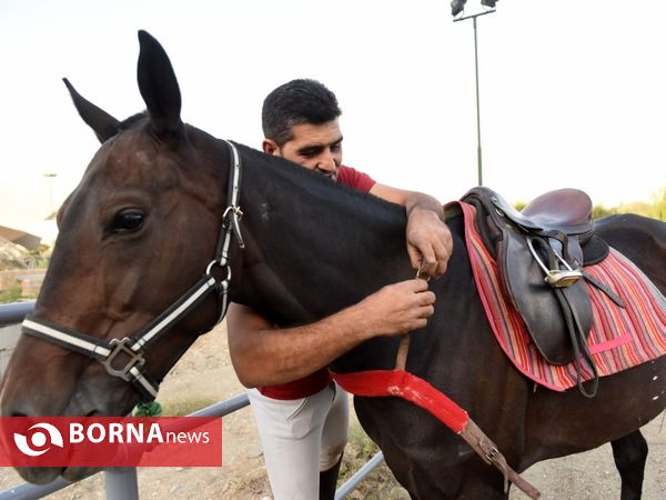 دیدار  نمادین چوگان ،گرامیداشت هفته نیروی انتظامی