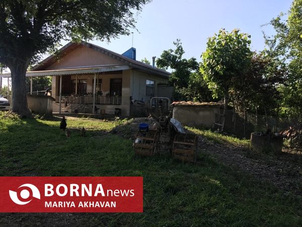 پسیخان رشت جاذبه طبیعی و گردشگری استان گیلان