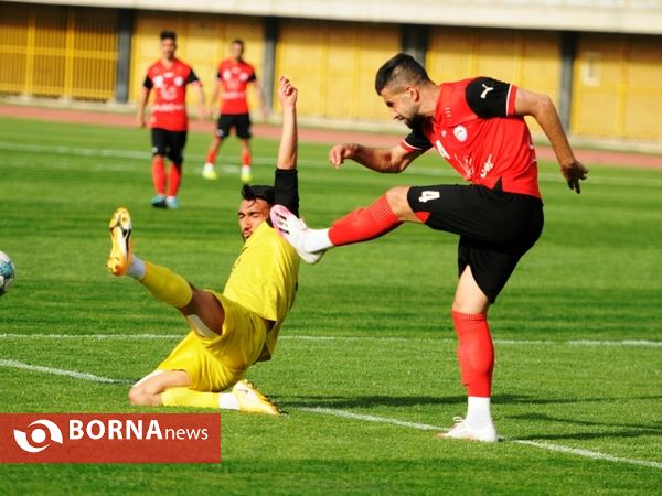 گل ریحان البرز - نود ارومیه