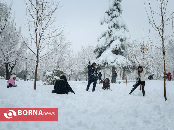 بارش برف در تهران-۴