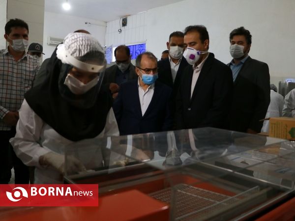 جهش تولید در سرزمین فتح - ۲