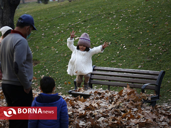 واپسین روزهای پاییزی تهران