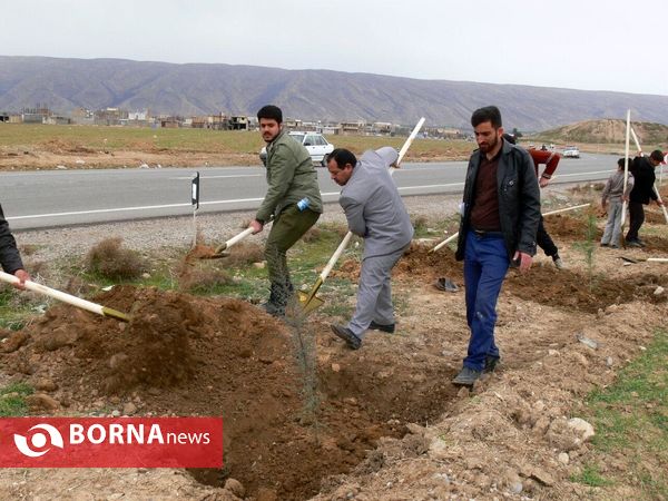 آغازفعالیتهای درختکاری در رومشکان درآستانه هفته منابع طبیعی