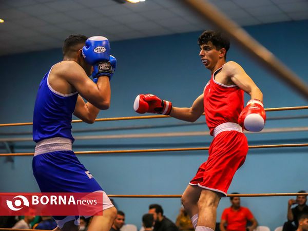 مسابقات بوکس قهرمانی بزرگسالان استان مرکزی