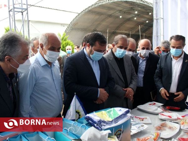 افتتاح شرکت تولید فرآورده های ماهی در بندرانزلی