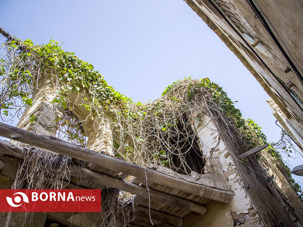 بافت سنتی بوشهر