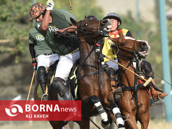 لیگ  ملی چوگان